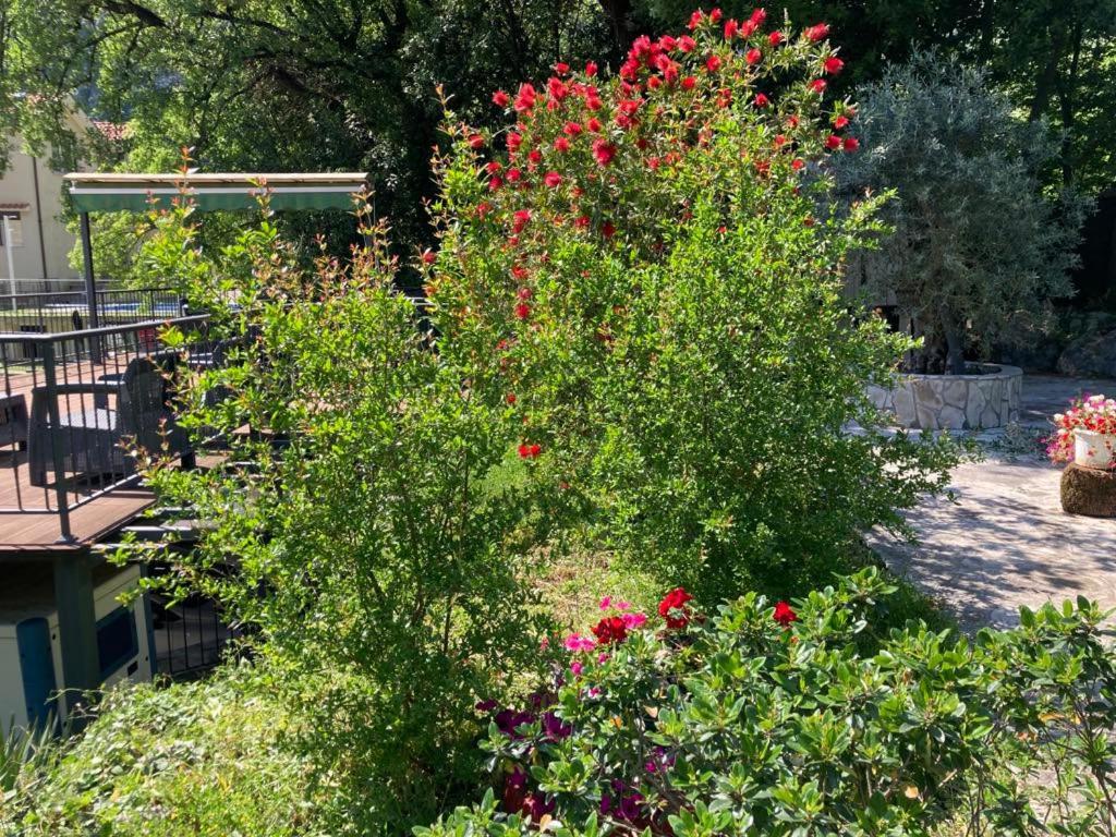 קוטור Apartments Villa Eden מראה חיצוני תמונה