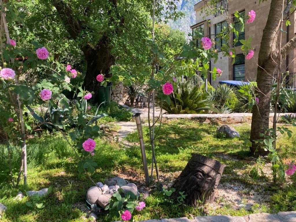 קוטור Apartments Villa Eden מראה חיצוני תמונה