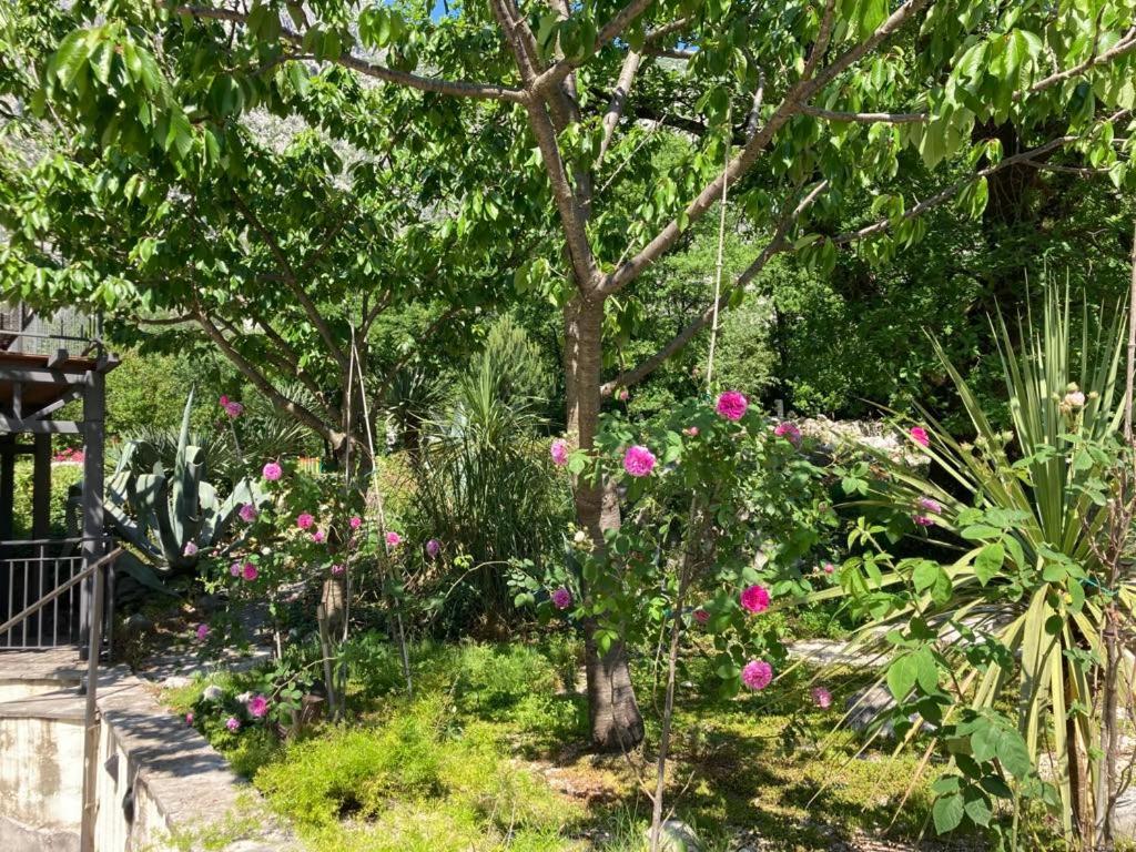 קוטור Apartments Villa Eden מראה חיצוני תמונה